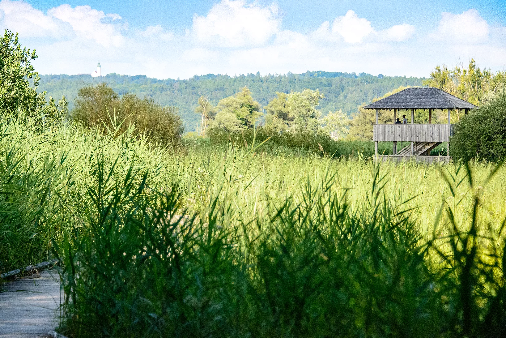 Aussichtsturm am südlichen Ammersee in Dießen