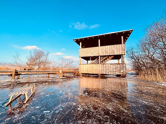 Vogelturm im Januar