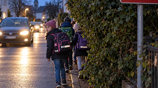 Kinder auf dem Schulweg Schnittpflichten privater Grundstückseigner